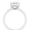 Thumbnail: Hidden Halo Diamond Accented Engagement Ring