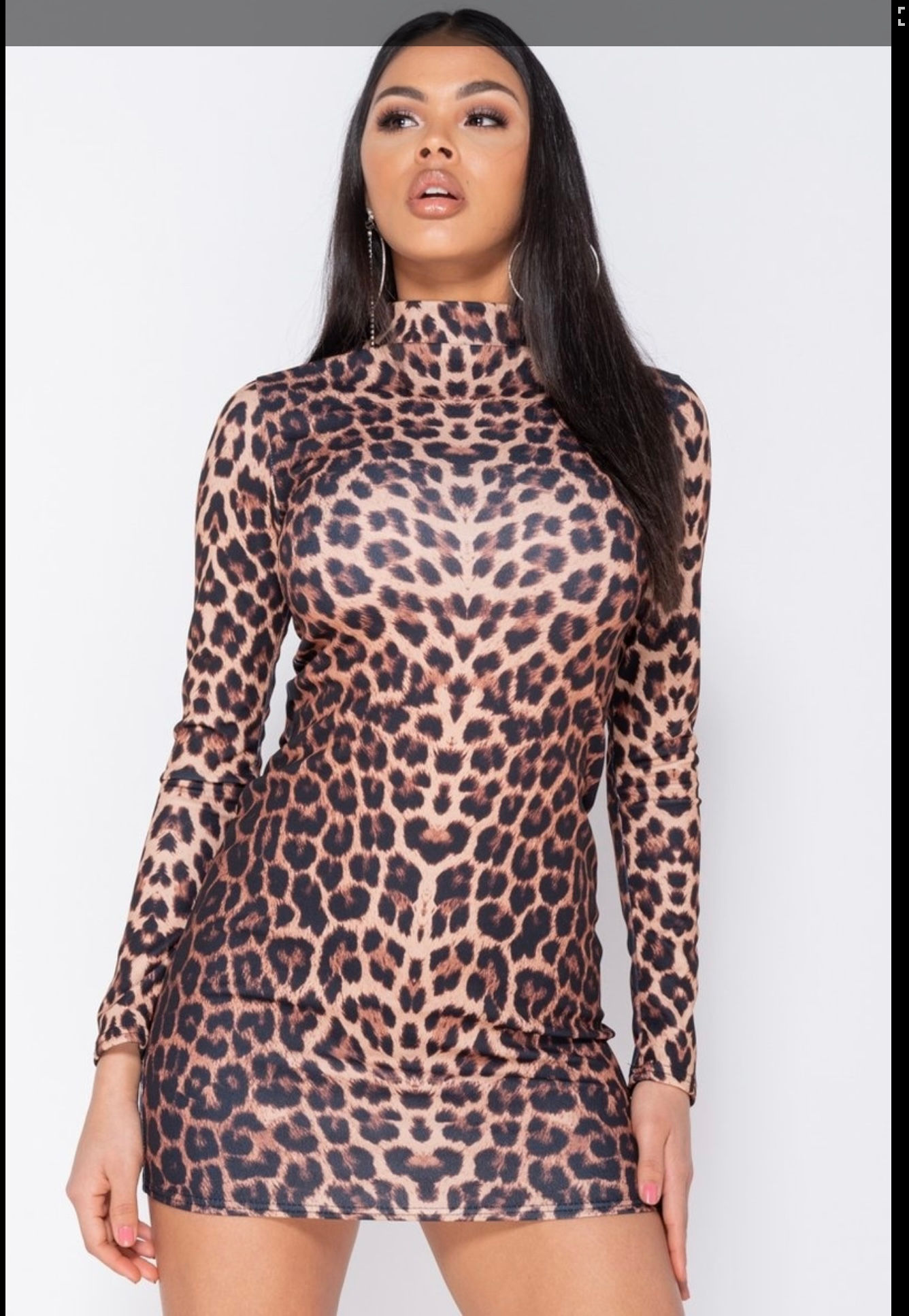 Leopard Mini Dress