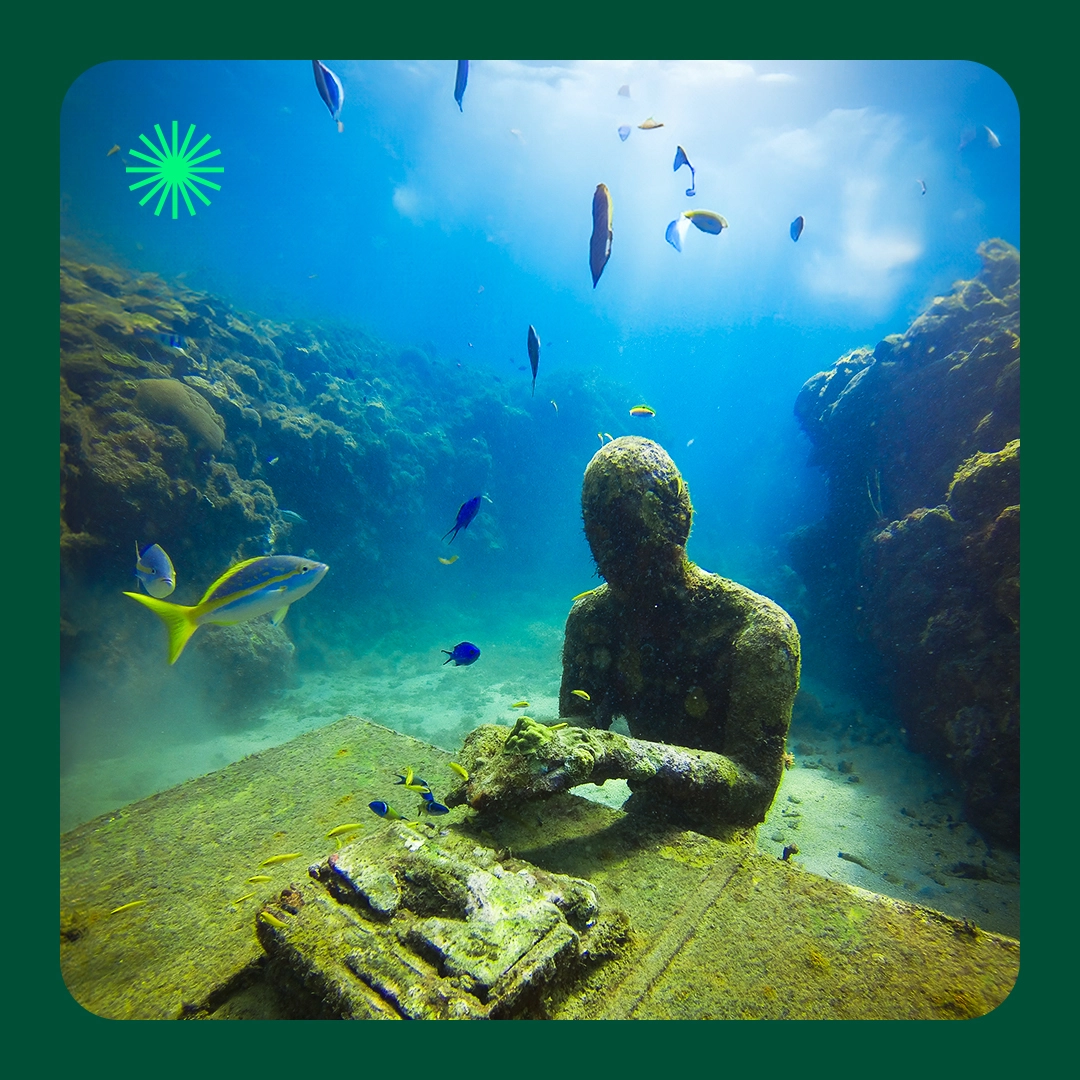 Sitting Scholar, Snorkelling At Molinere Underwater Sculpture Park, Grenada