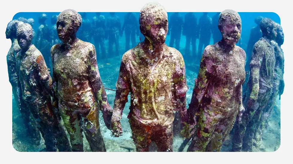 Snorkelling At Molinere Underwater Sculpture Park, Grenada