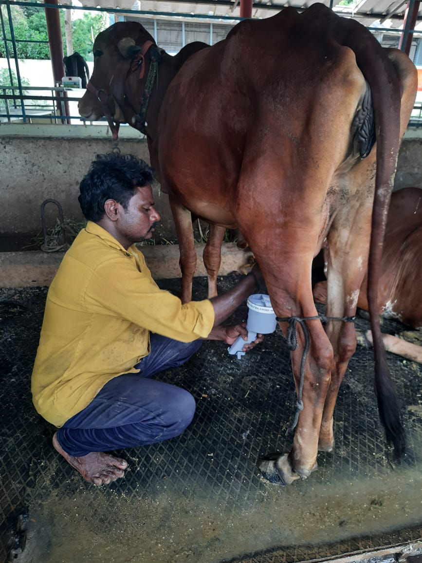 Thumbnail: কোয়াডমাস্টেস্ট