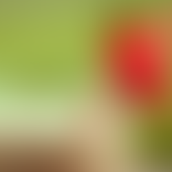 The "Out Of Bananas" Smoothie