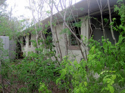 Deserted Military Base