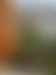 Sanierung Scheunenstrasse 10