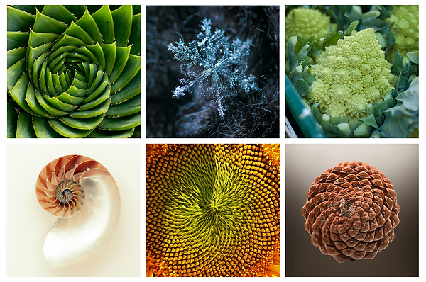 fractals.png