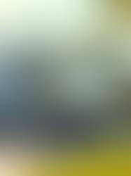 Optimal Moving Times: Balancing Seasonality, Costs, and Weather for a Smooth Transition