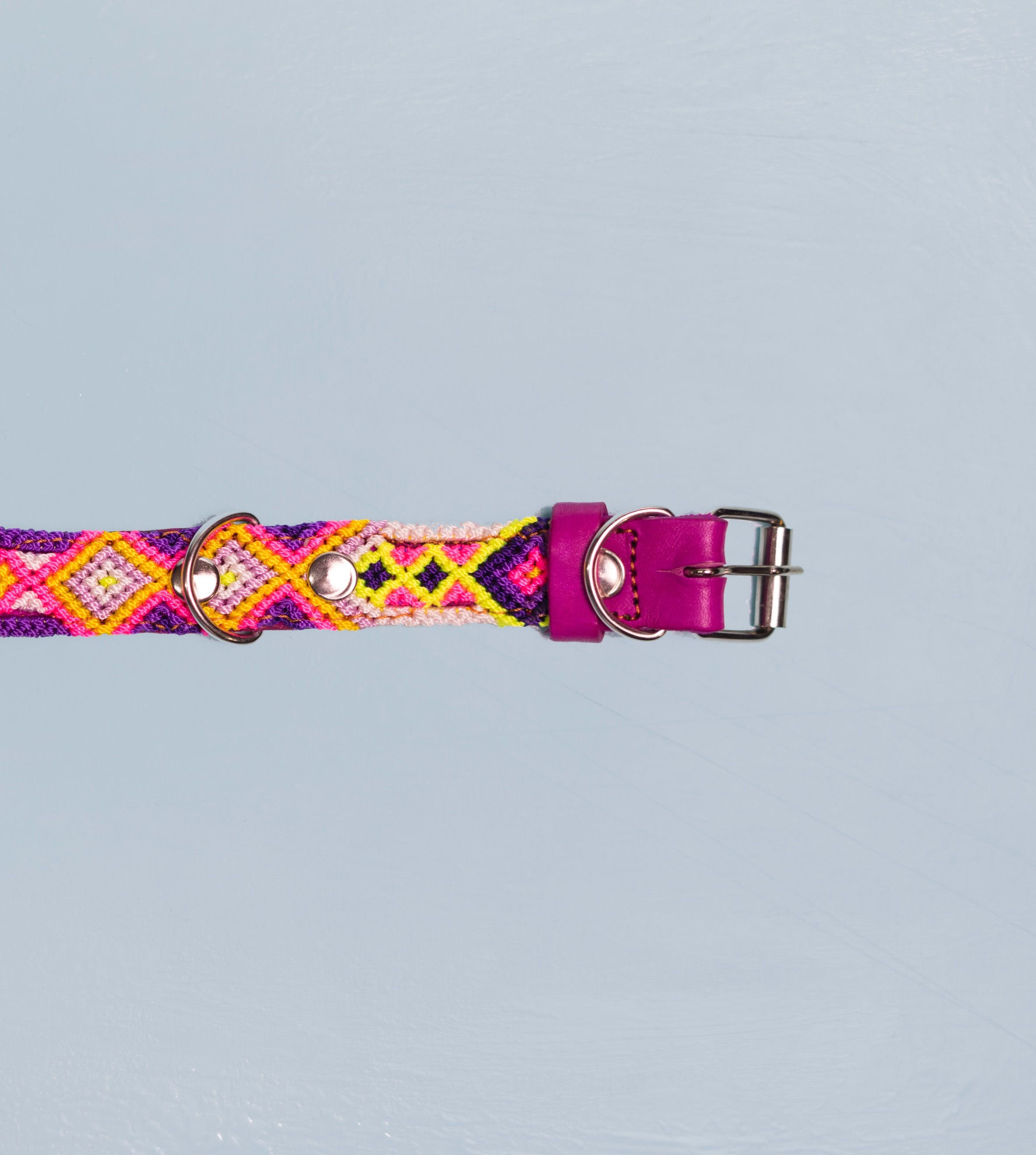 Collar para perro o gato.