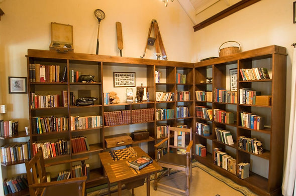 Librabry image.jpg