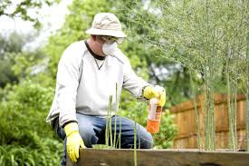 how to safely use pesticides like Sterifab