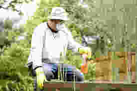 how to safely use pesticides like Sterifab