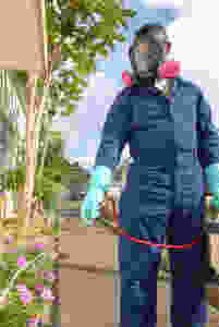 Exterminator bed bug treatment cost