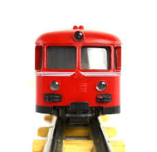 bed bugs on trains