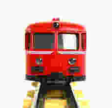bed bugs on trains