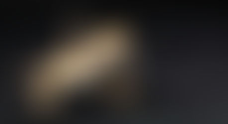 Can You Train Your Bearded Dragon?