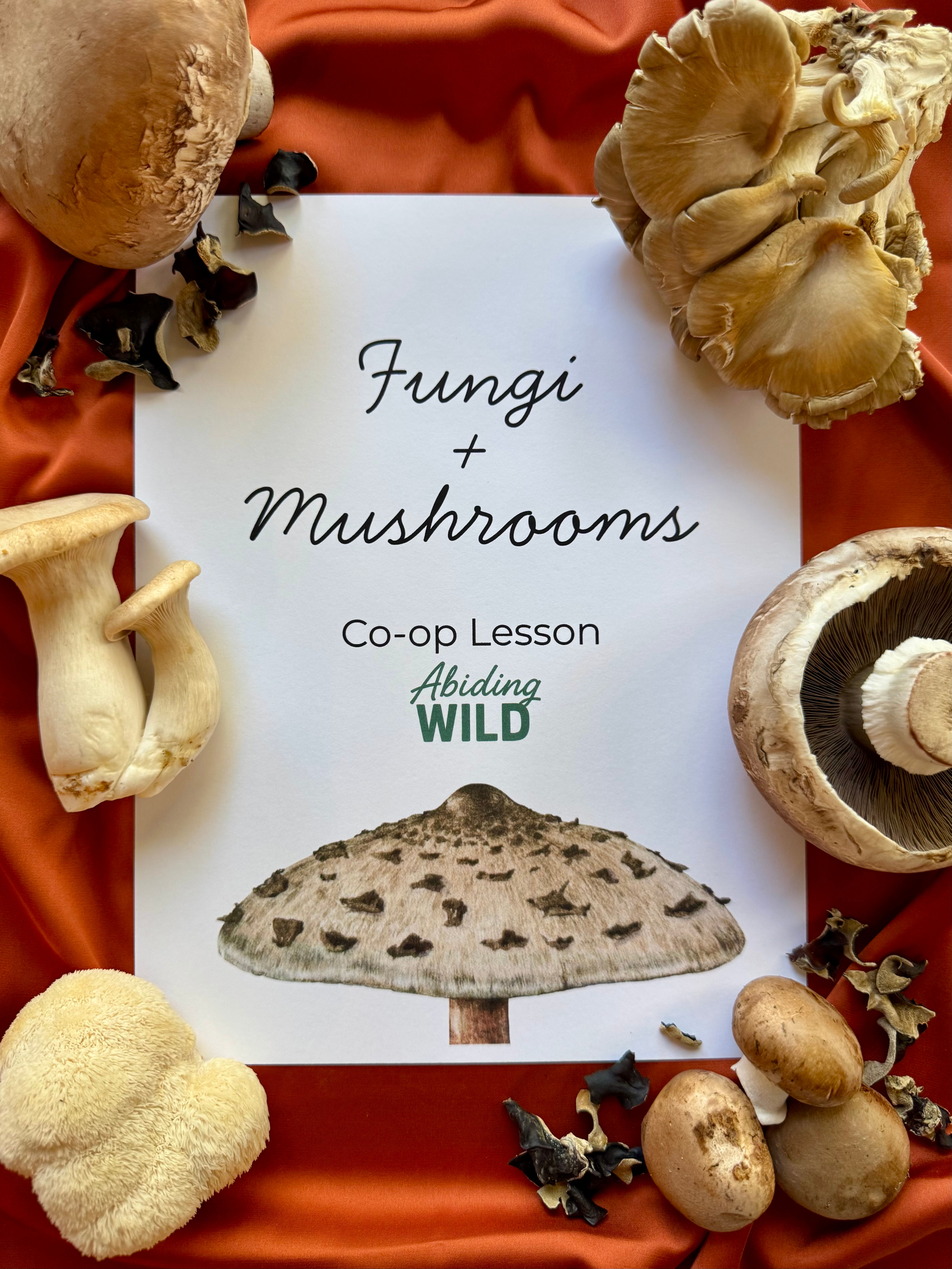 Fungi + Mushrooms Co-Op Lesson