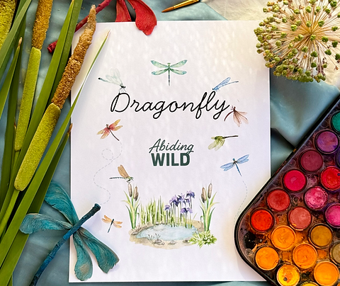Dragonflies Family Lesson