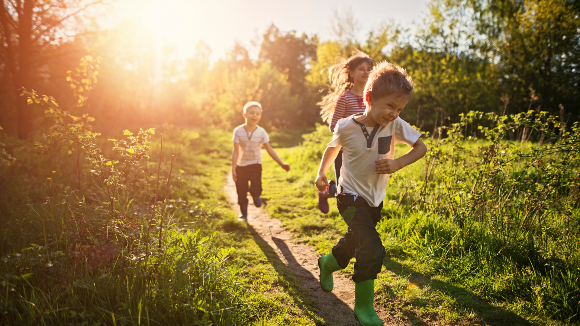 Explore God's Creation with Nature Study Science Units for Families + Co-Ops — organizer logo