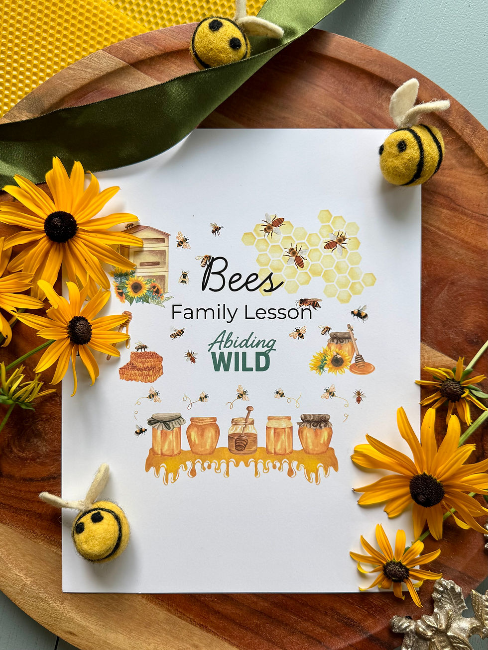 Bees Family Lesson