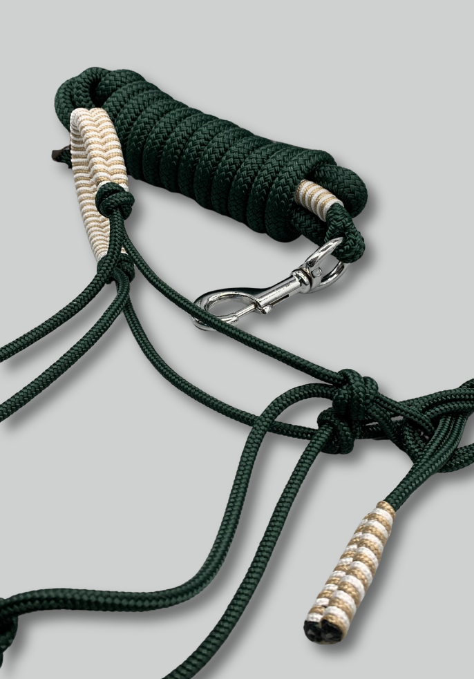 Miniature : Brocéliande 🌲