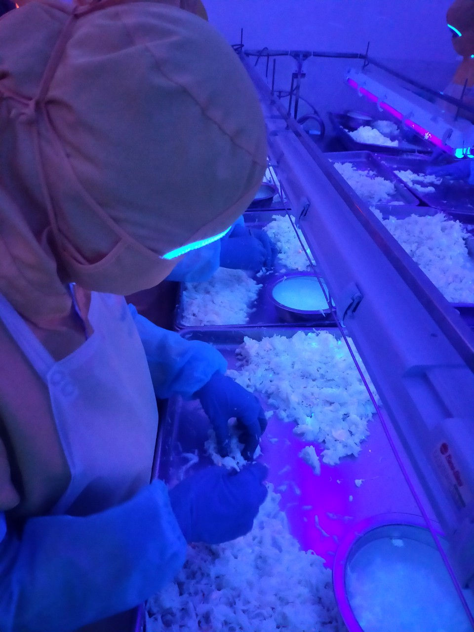 z4199516135030_0271c354d6e355f512f8ca0ae816d358