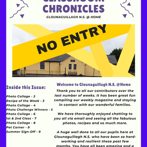 Glounaguillagh N.S. @ Home, Issue 10