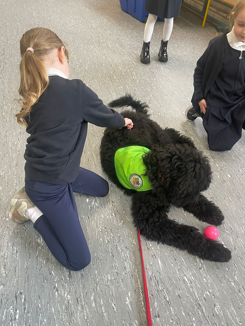 Everyone loves Mollie!