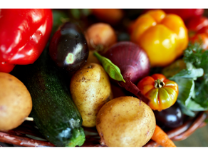 Une alimentation végétarienne équilibrée avec un suivi diététique personnalisé