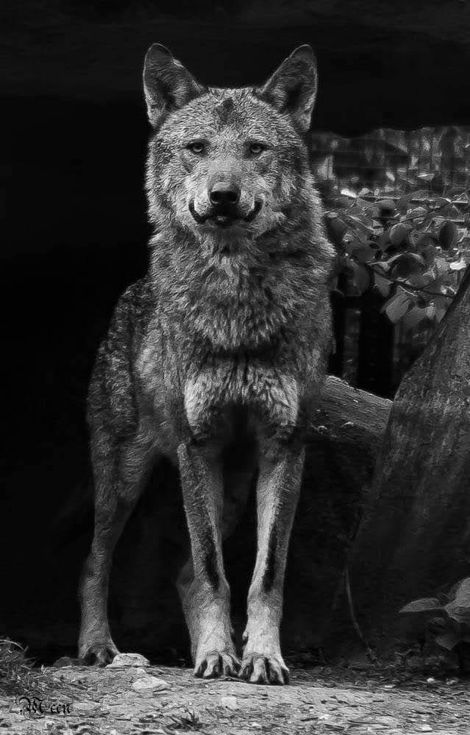 FB_IMG_1601587829234