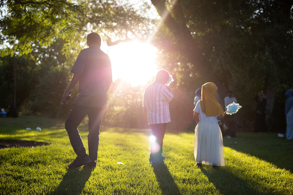 Picnic in the Park