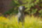 JimthewonderdogStatue.jpg