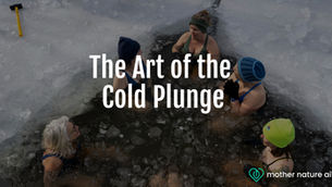 cold plunge benefits