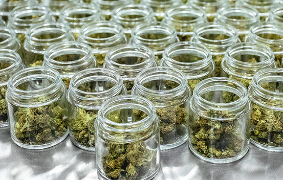 cannabis-weighing-packaging_0.jpg
