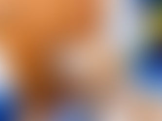 Enjoy the Holidays Without Leaving Your Dog: 7 Top Tips