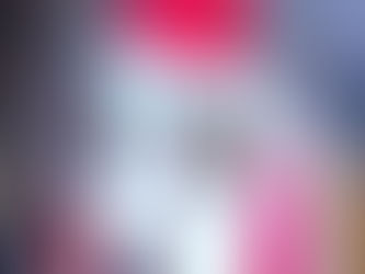 A New Dog for the Holidays: Do's, Don't’s, and a Helpful Hack