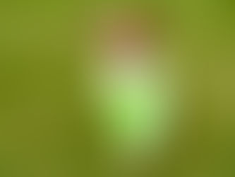 Managing Your Dog's "Bucket(s)"