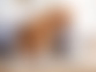 Remote Training Works! Here's Why: