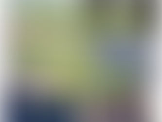 12月のクーポン