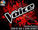 Auditioning for "The Voice"