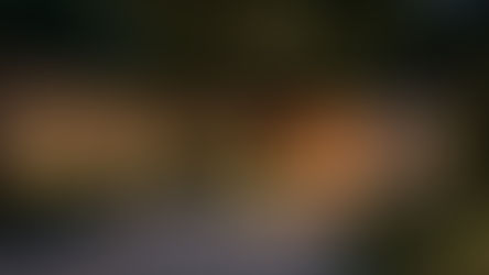 Mastering the Art of Shadow in Garden Lighting Design