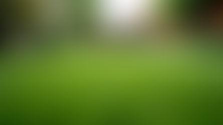 Eye-level view of lush artificial grass in a South London garden