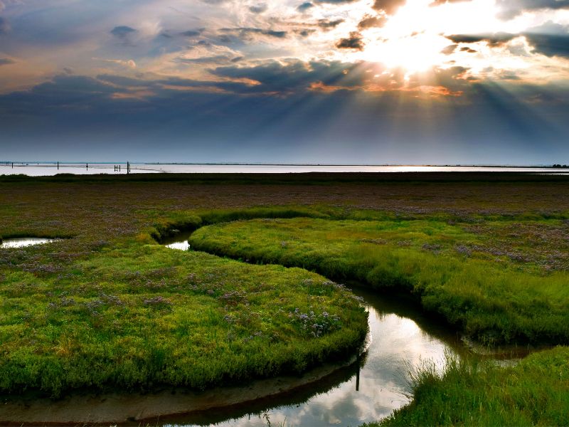 Cinematic landscape shot of the Norfolk Broads at dusk.