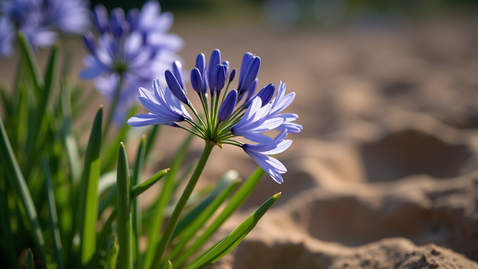 How Expert Design Can Bring Your Landscape Vision to Life