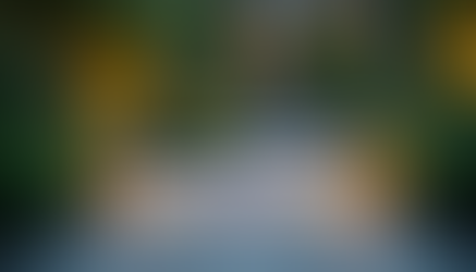 Eye-level view of a stone-paved garden patio with integrated lighting and lush greenery