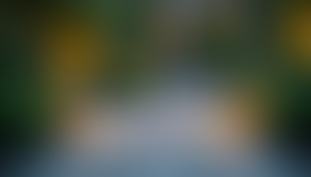 Eye-level view of a stone-paved garden patio with integrated lighting and lush greenery