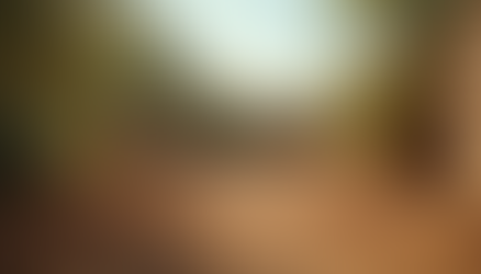 Wide angle view of a drought-affected garden with dry soil london