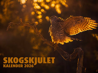 Skogskjulet kalender 2026