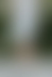 CRECIENDO EN AGRADECIMIENTO.