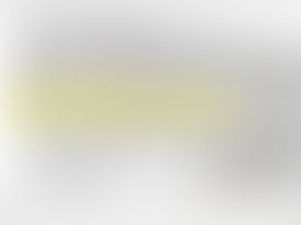 LICENZA EDILIZIA SOPRAELEVAZIONE ORIGLIO