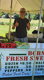born's corn.jpg
