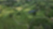 Durand Chamber of Commerce Golf Outing